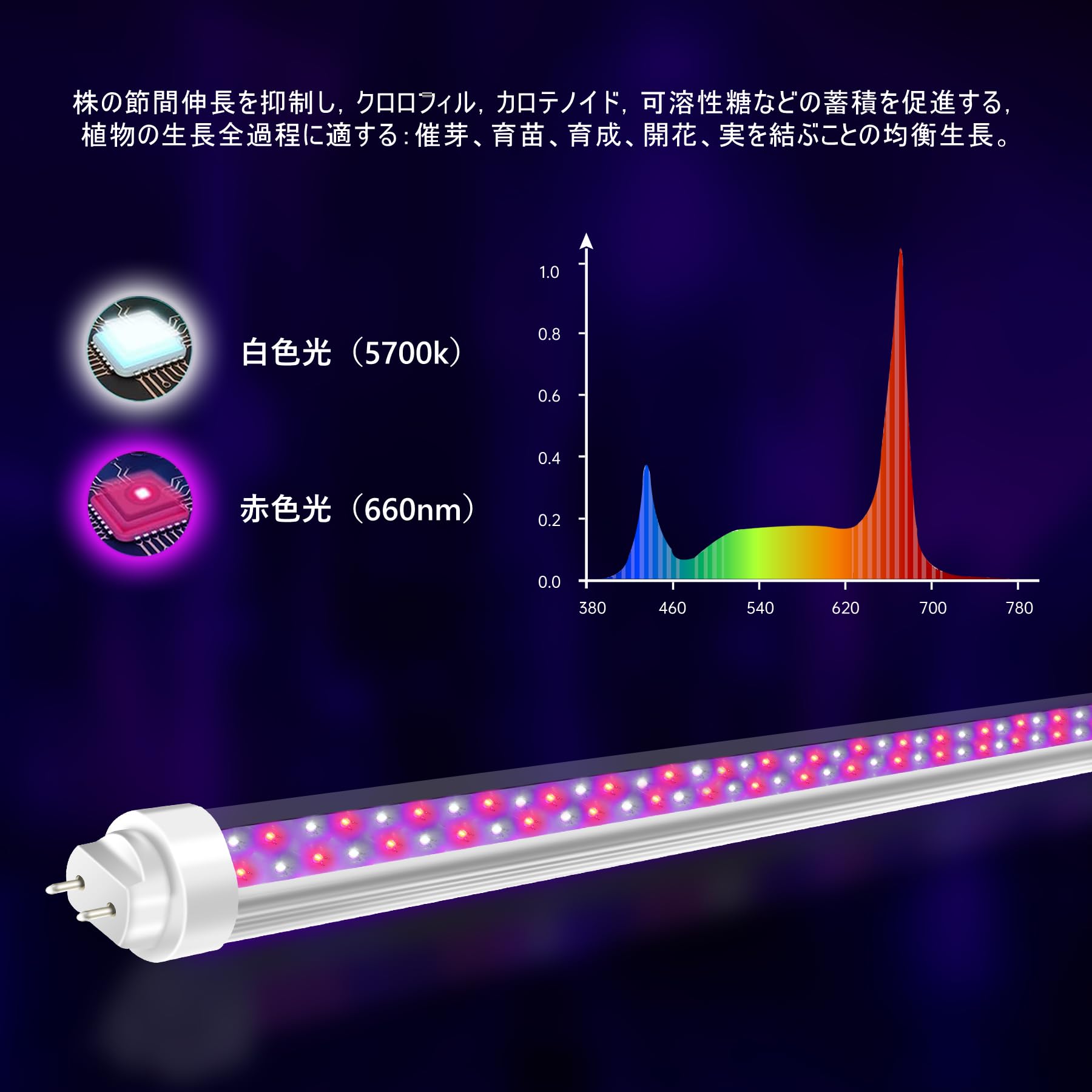 Amazon.co.jp: 植物育成ライト 20W 0.6m 直管型LEDライト 水耕栽培工場